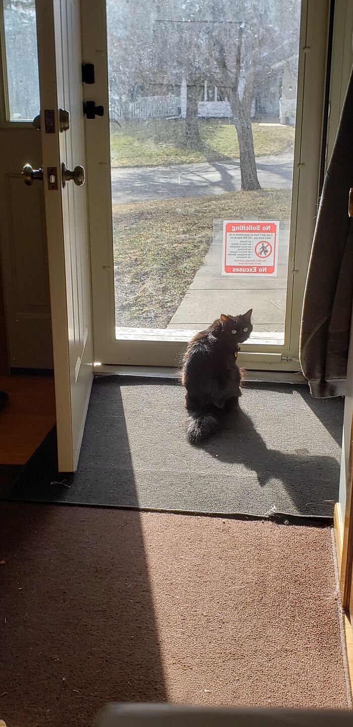 A Little Wild, A Little Bit Of A Party Girl, And Slightly Mean When You Meet Me, But Ultimately Looking For Someone To Sit In A Box With.