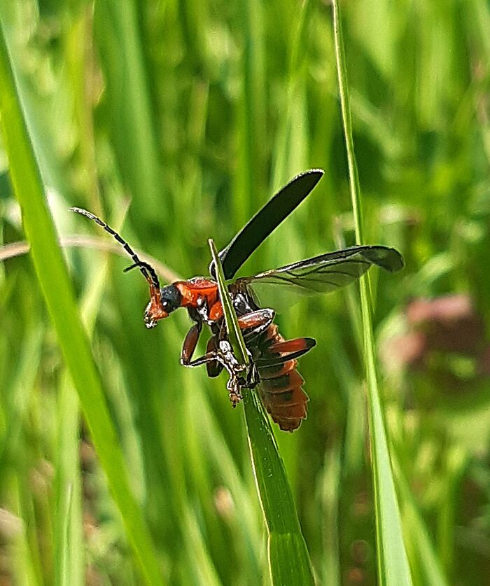 It Would Probably Be A Great Picture If The Wind Hadn't Blown 