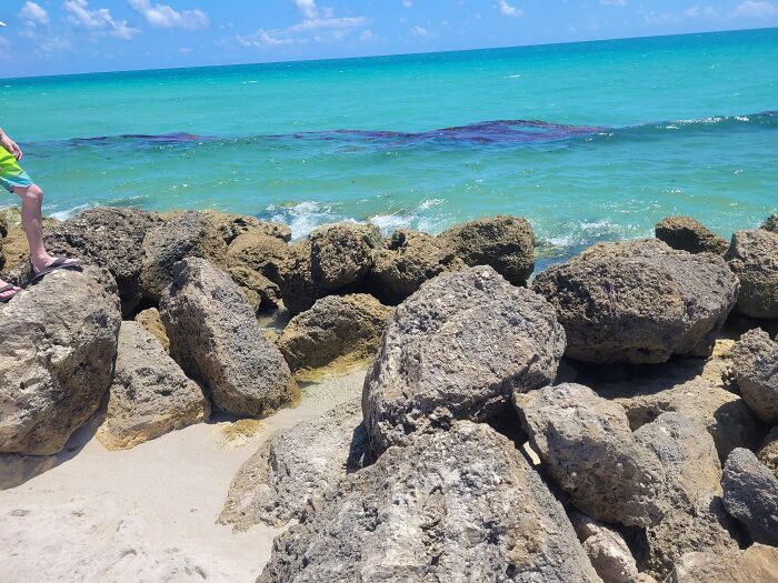 Miami Florida 2022 Had A Amazing Time!