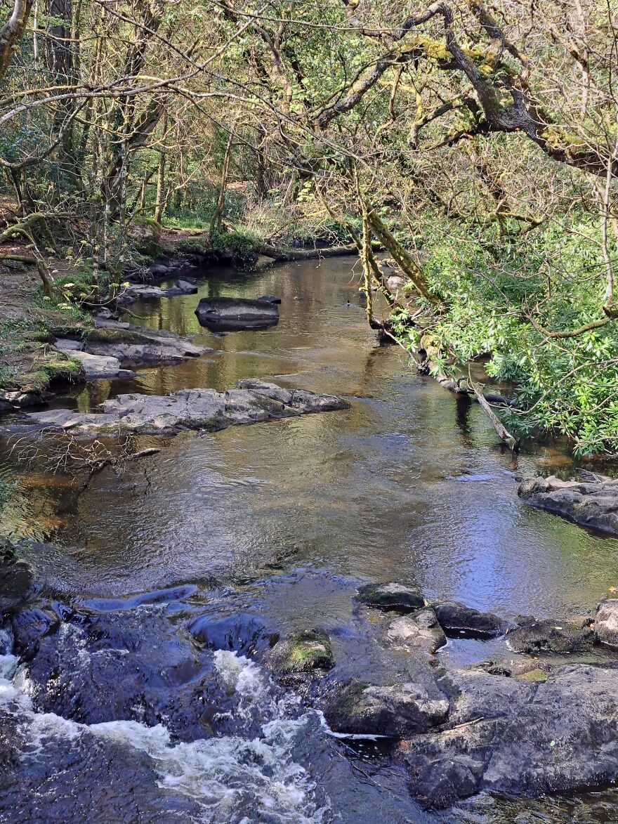 River Blackwater In Virginia, Cavan, Ireland. Let Me Know If You Find The Surprise ;)