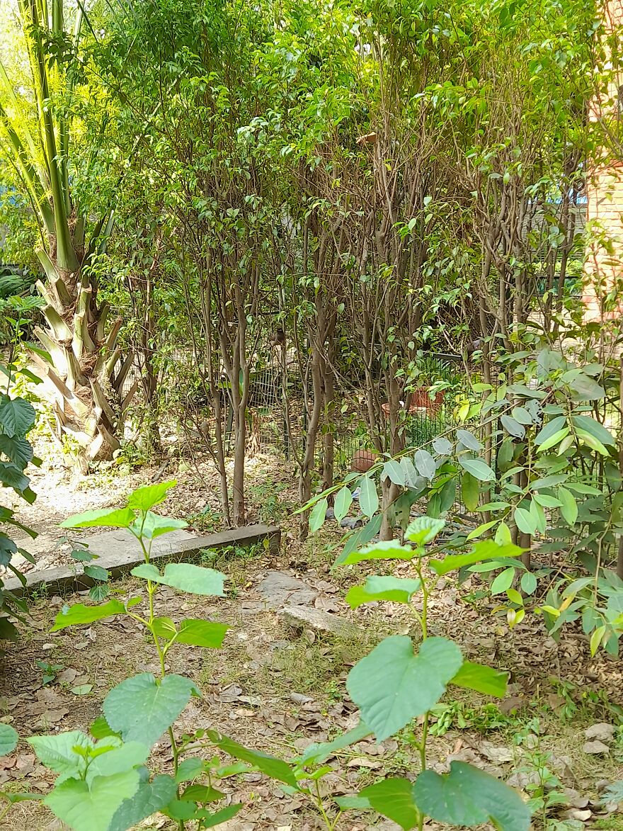 Tell If You're Able To Find It.