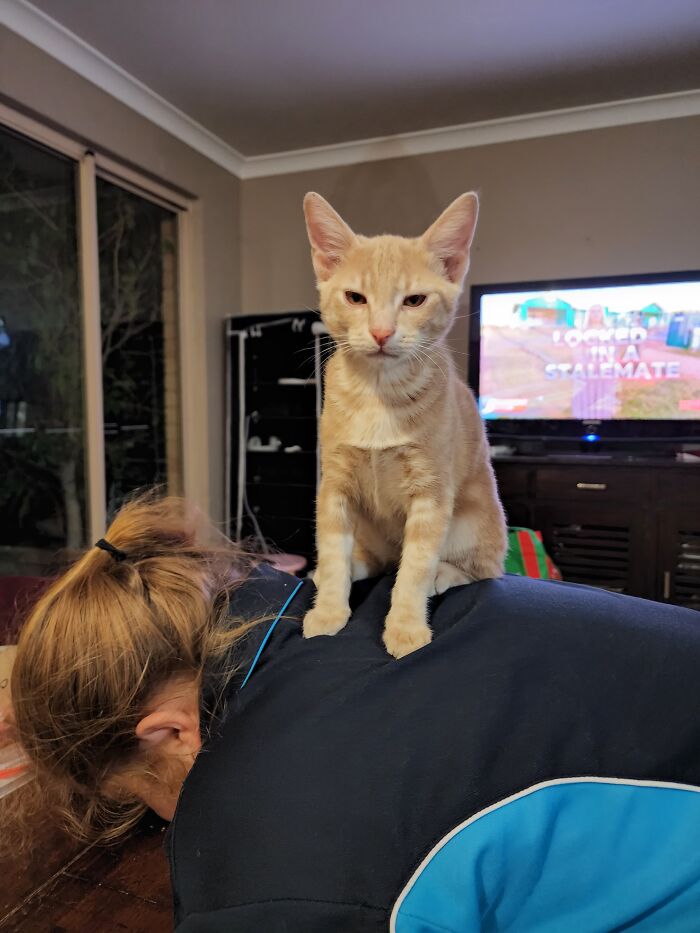 Mon Cherie...won't You Koin Me On My Human Pedestal?