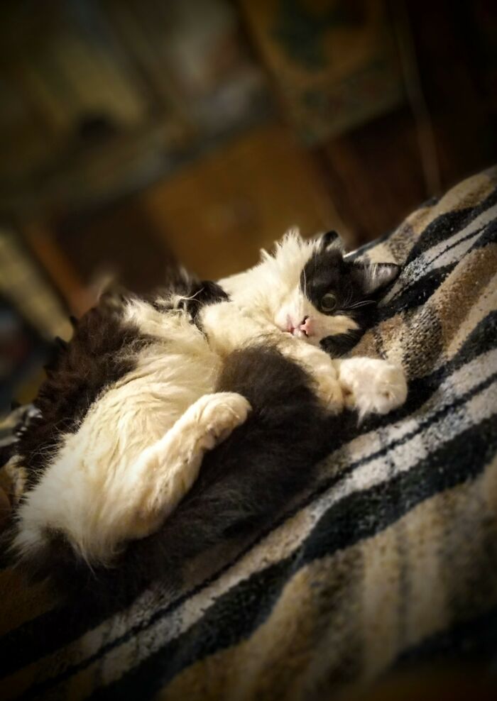 Miss Litaloo, Says I'm All Yours