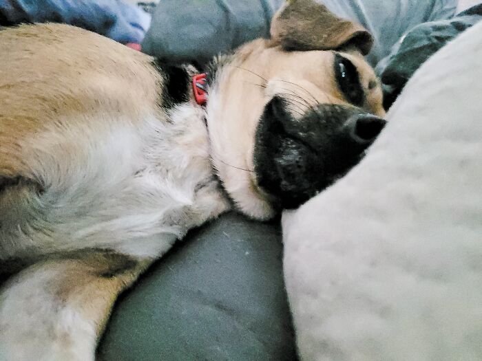 Hobbies: Sleeping In