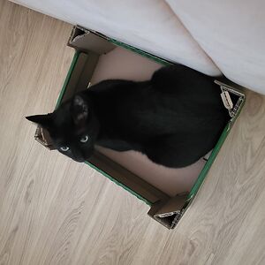 gabrielakarabinosova avatar