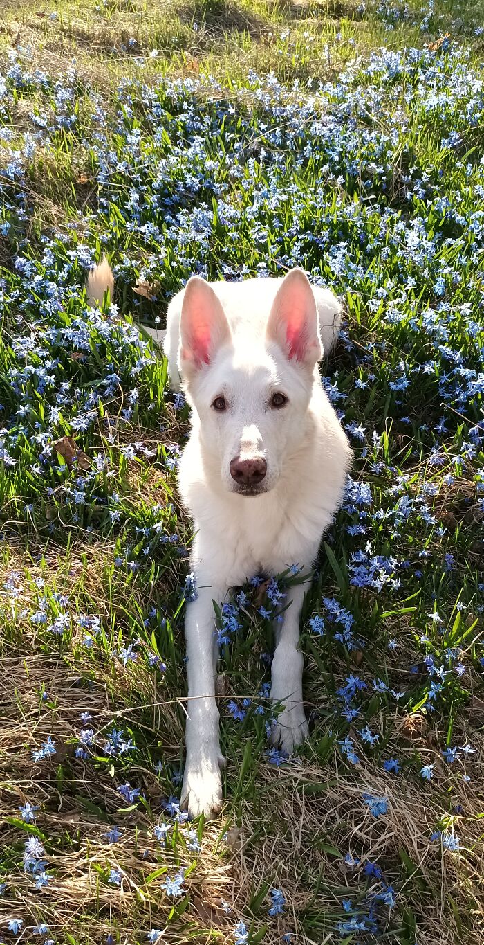 Would You Like To Go For A Walk With Me?