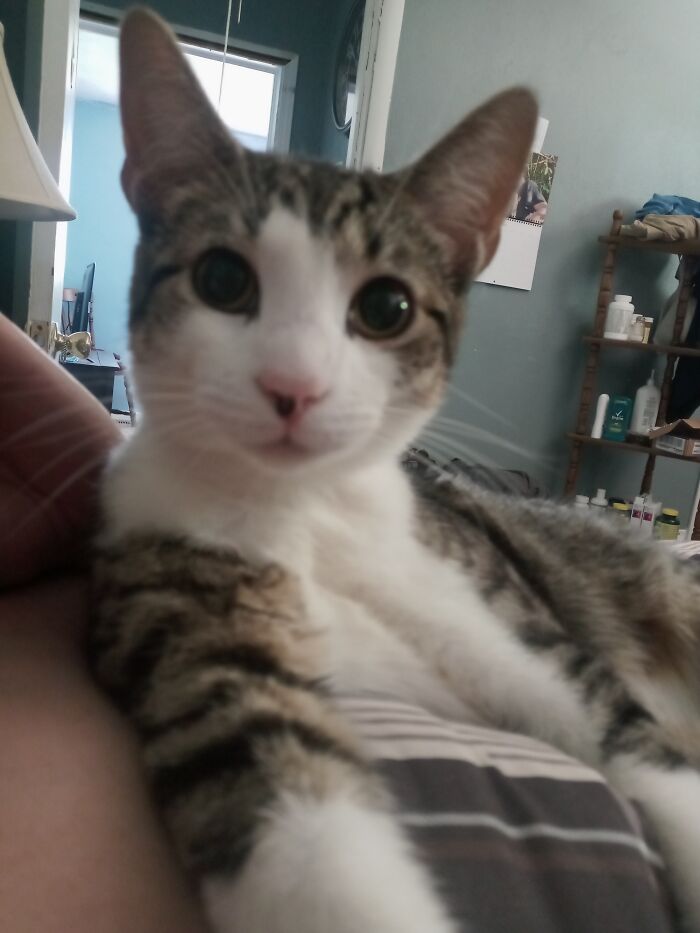 I Am All Muscle❤️❤️