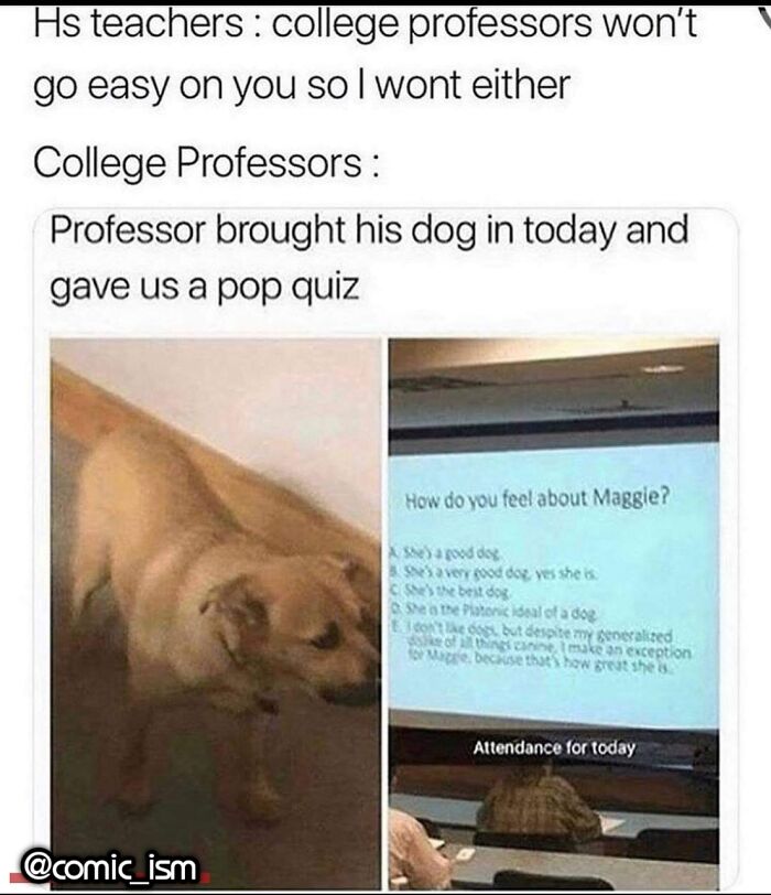 Adorable Dog Moments With Best Annotations To Brighten Your Day
(31 Pics)