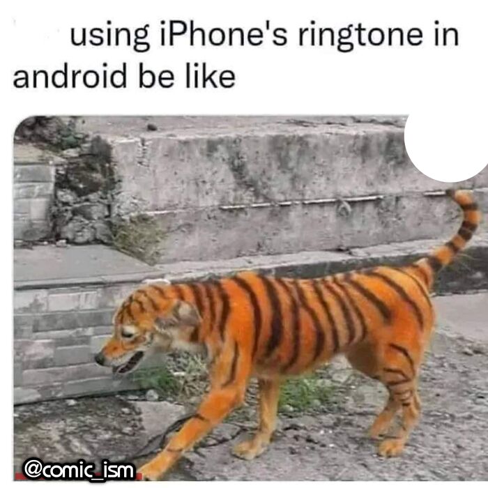 Adorable Dog Moments With Best Annotations To Brighten Your Day
(31 Pics)