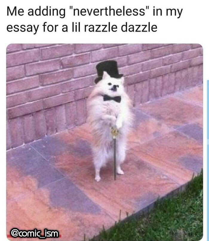 Adorable Dog Moments With Best Annotations To Brighten Your Day
(31 Pics)