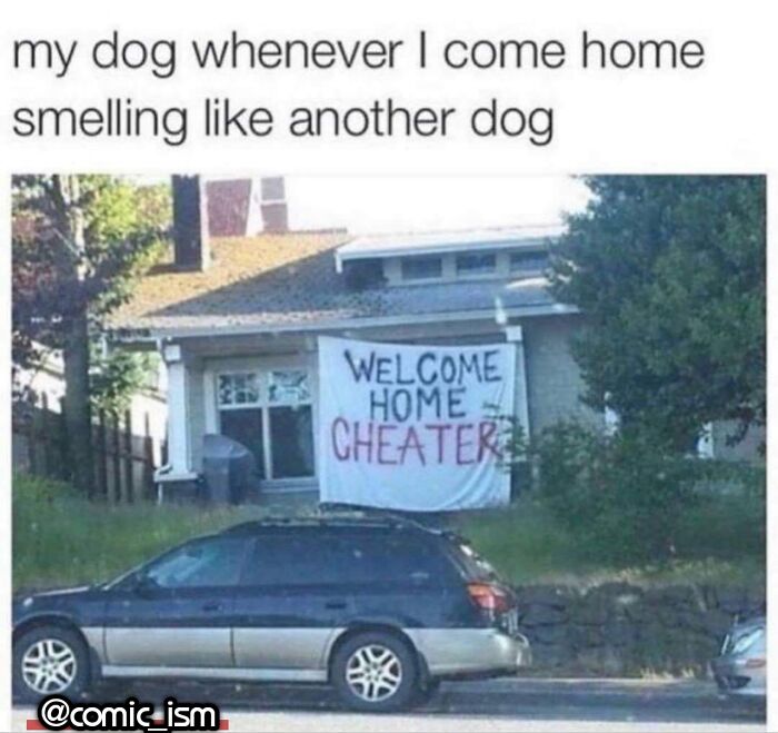 Adorable Dog Moments With Best Annotations To Brighten Your Day
(31 Pics)