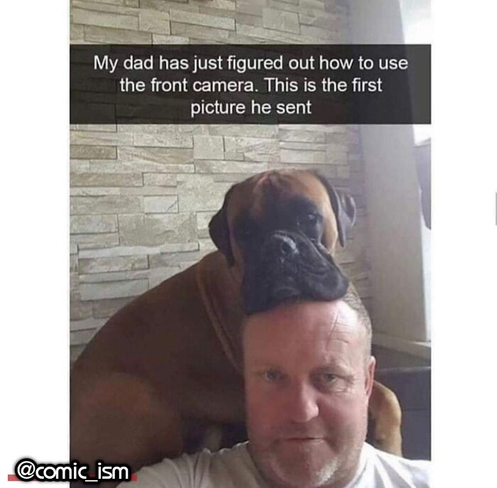 Adorable Dog Moments With Best Annotations To Brighten Your Day
(31 Pics)