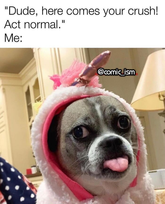 Adorable Dog Moments With Best Annotations To Brighten Your Day
(31 Pics)