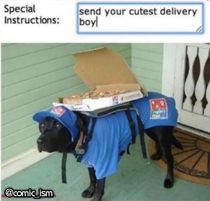 Adorable Dog Moments With Best Annotations To Brighten Your Day
(31 Pics)