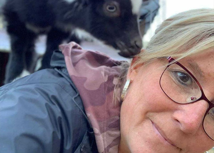 Stray Kitten Becomes The 'Gray Goat' Of The Pen, Acting Just Like The Tiny Goats That Became His Family