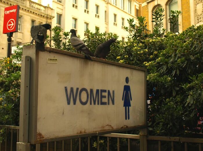 30 Stories When Someone Destroyed Their Solid Reputation In A Few Minutes, As Told In This Online Group