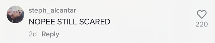 Woman Shares An Example Of Why Turbulence Should Not Scare You And Millions Find It Helpful