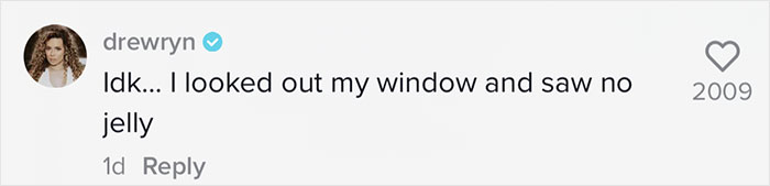 Woman Shares An Example Of Why Turbulence Should Not Scare You And Millions Find It Helpful