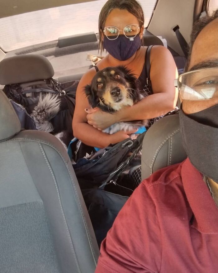 40 Selfies This Guy Has Taken With The Passengers Of His “Pet Taxi” Business