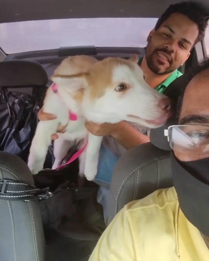 40 Selfies This Guy Has Taken With The Passengers Of His “Pet Taxi” Business