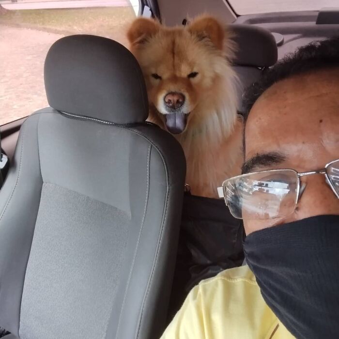 40 Selfies This Guy Has Taken With The Passengers Of His “Pet Taxi” Business