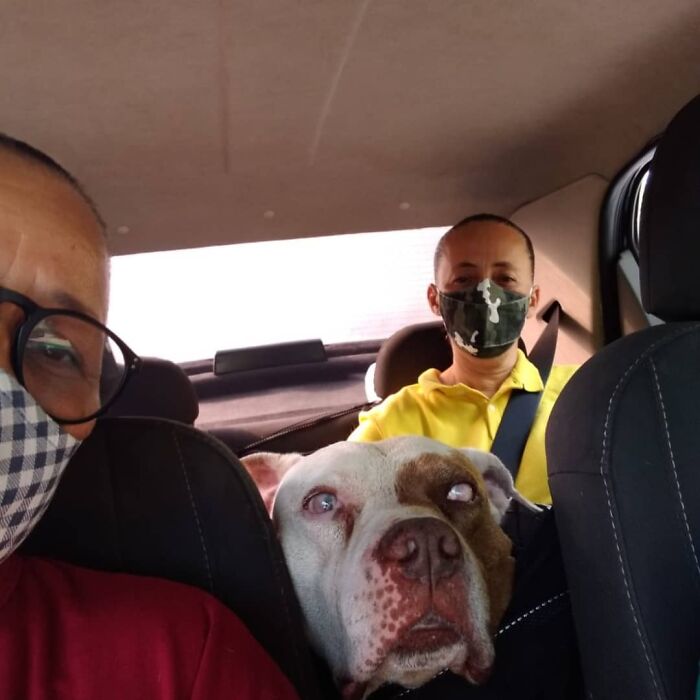 40 Selfies This Guy Has Taken With The Passengers Of His “Pet Taxi” Business