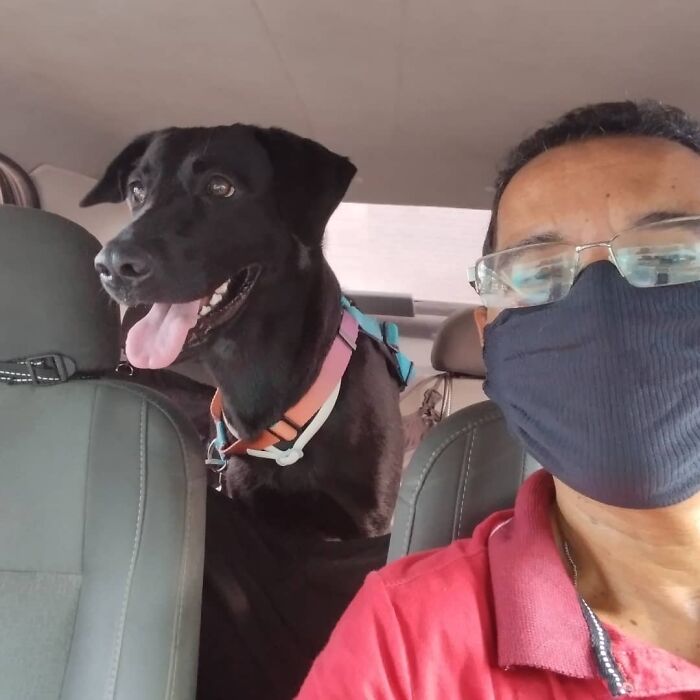 40 Selfies This Guy Has Taken With The Passengers Of His “Pet Taxi” Business