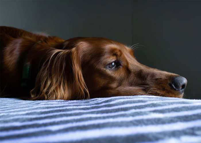 50 People Reveal The “Oh, Hell No” Moment That Made Them End Their Relationship