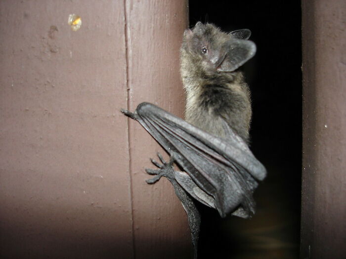 30 Folks Who Dated Or Hung Out With Big Celebrities Exposed What It Was Like, As Shared In This Online Group