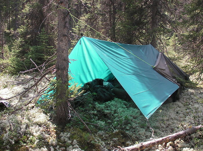 30 Cheap, Mass-Produced Items That Are Stupendously Well Engineered, According To Folks In This Online Thread