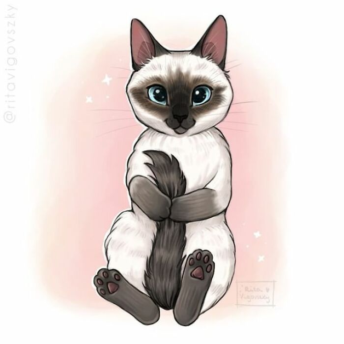 Artist Shows Everyday Life With A Cat Summarized In Adorable Comics (69 New Pics)