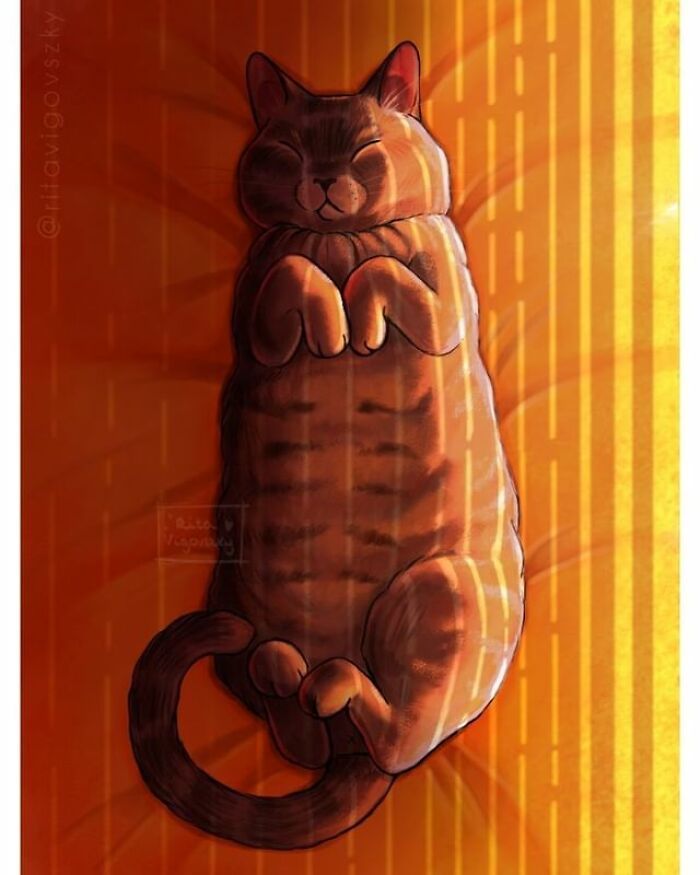 Artist Shows Everyday Life With A Cat Summarized In Adorable Comics (69 New Pics)