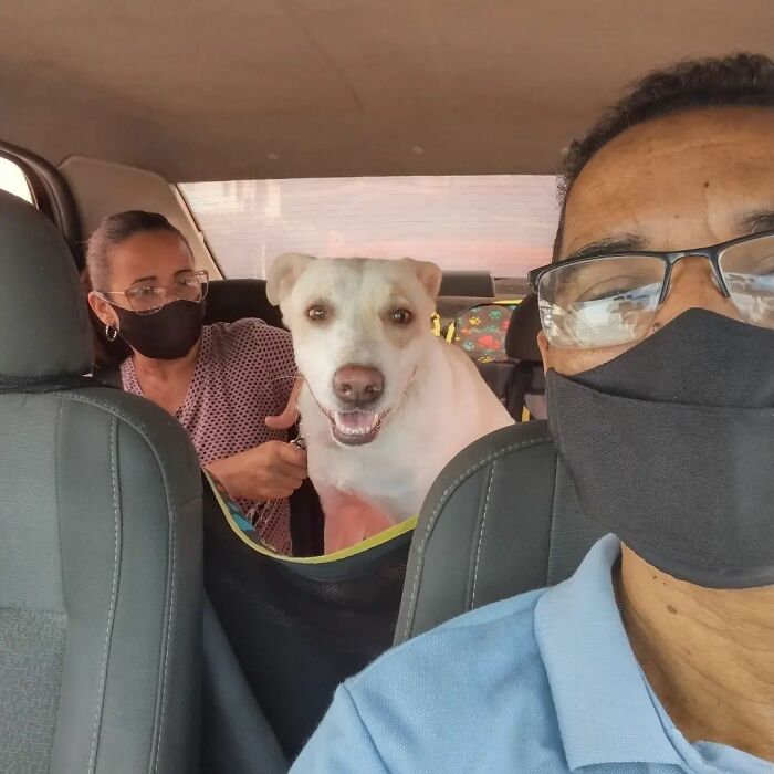 40 Selfies This Guy Has Taken With The Passengers Of His “Pet Taxi” Business