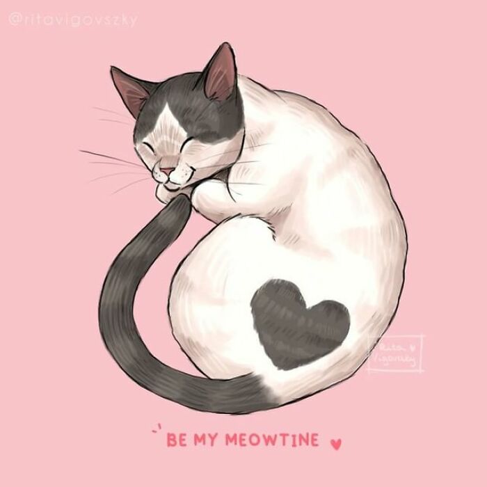 Artist Shows Everyday Life With A Cat Summarized In Adorable Comics (69 New Pics)