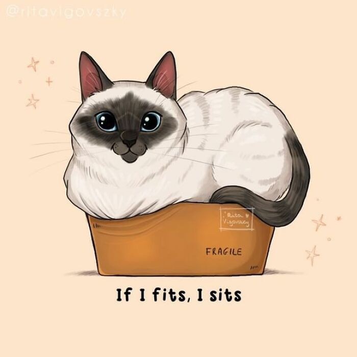 Artist Shows Everyday Life With A Cat Summarized In Adorable Comics (69 New Pics)