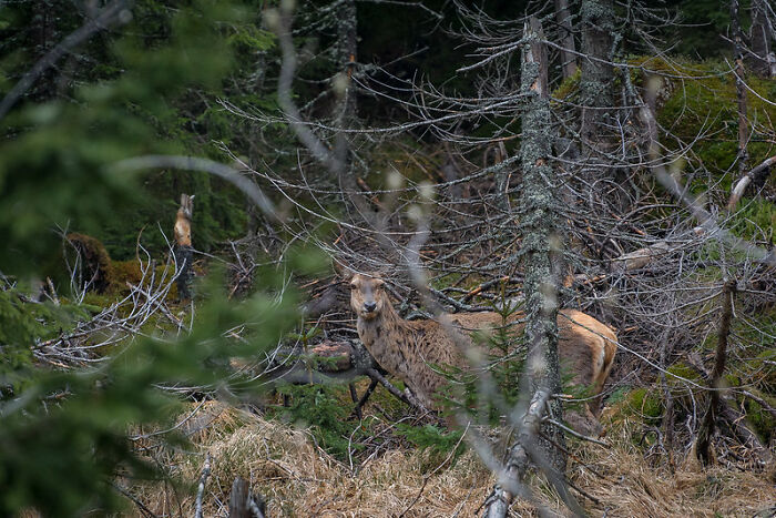 “What Is A Little-Known Fact That Can Save You From A Life-Threatening Situation?” (30 Answers)