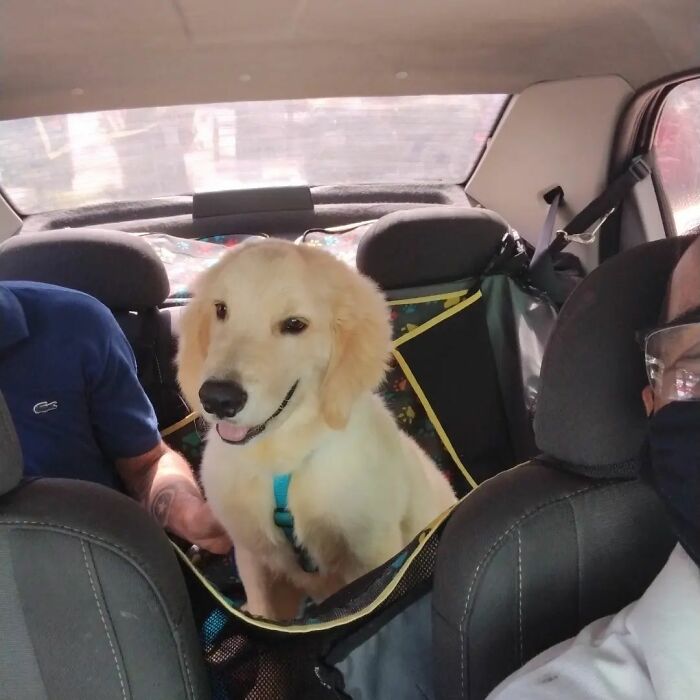 40 Selfies This Guy Has Taken With The Passengers Of His “Pet Taxi” Business