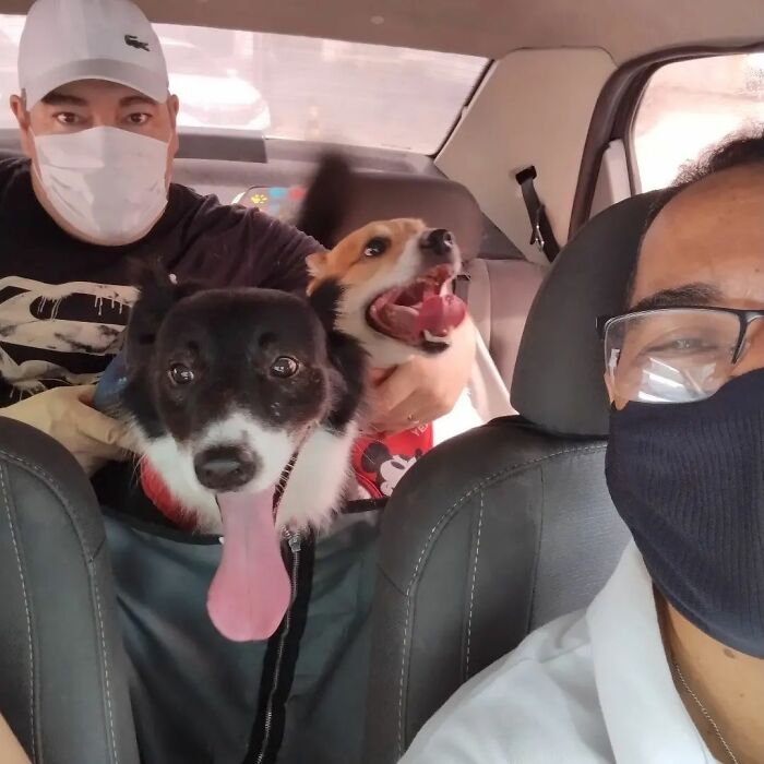 40 Selfies This Guy Has Taken With The Passengers Of His “Pet Taxi” Business