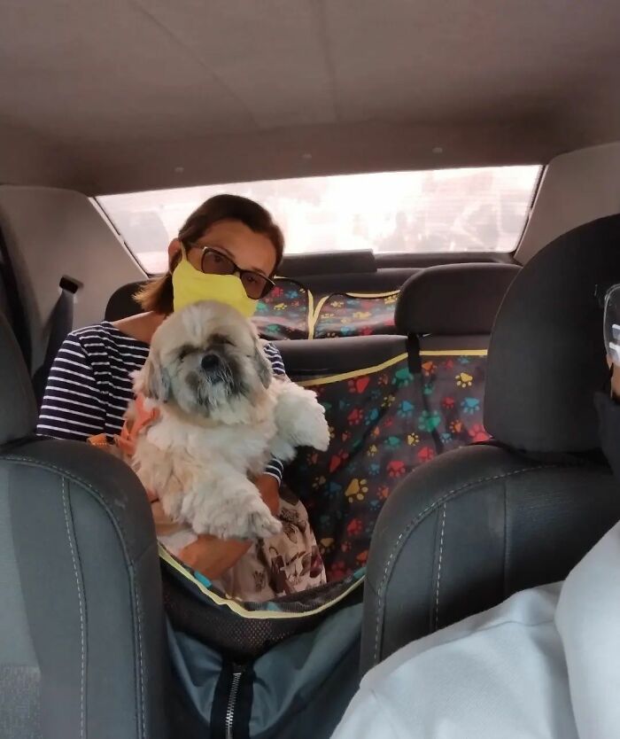 40 Selfies This Guy Has Taken With The Passengers Of His “Pet Taxi” Business