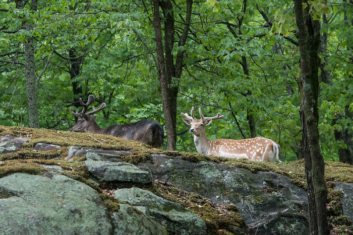 25 Cosas que nunca deberías hacer al visitar estos países, compartidas en esta comunidad online