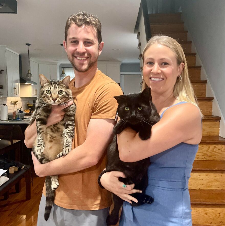 Cat Gets Attacked By Two Dogs, Survives, And Finds His Forever Home With The Veterinarian Who Saved Him - 18