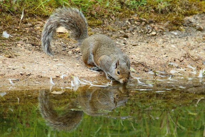 “What Is A Little-Known Fact That Can Save You From A Life-Threatening Situation?” (30 Answers)