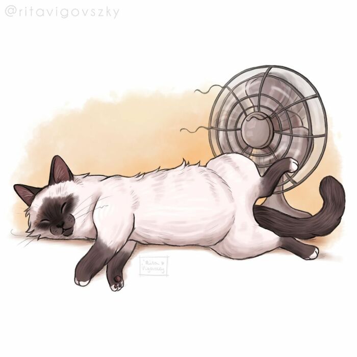 "What It's Like To Have A Cat": 40 Illustrations By This Artist (New Pics)