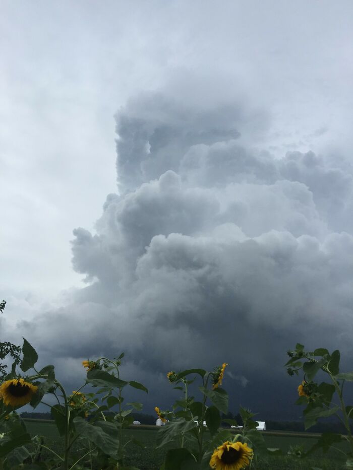 “What Is A Little-Known Fact That Can Save You From A Life-Threatening Situation?” (30 Answers)