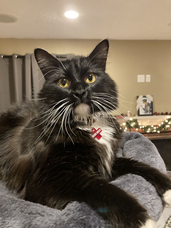 Single Dude Ready To Mingle… And No Need To Worry About Birth Control, Ladies, I’ve Had “The Snip”!