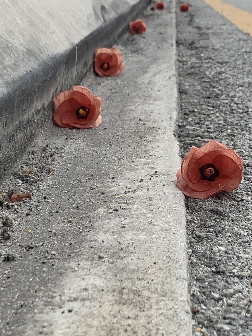 Not My Best Photo, But Here