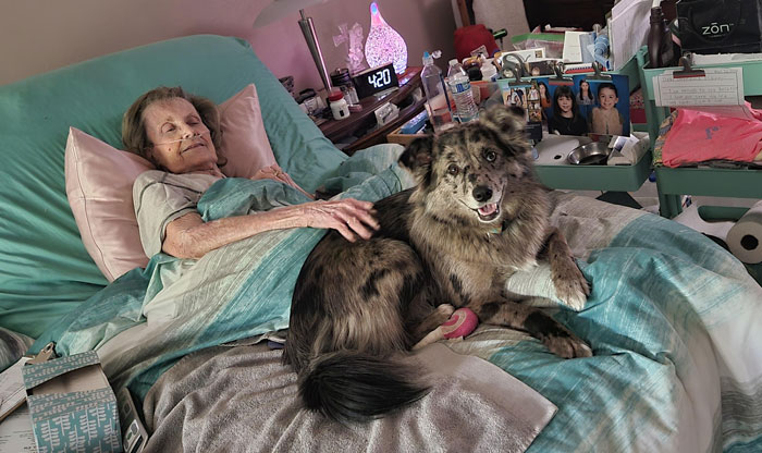 Dog Lover Shares How His Pup Lives A Heartwarming Double Life Visiting An Elderly Woman Every Day Dog Lover Shares How His Pup Lives A Heartwarming Double Life Visiting An Elderly Woman Every Day
