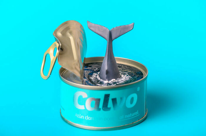 Tin Whale