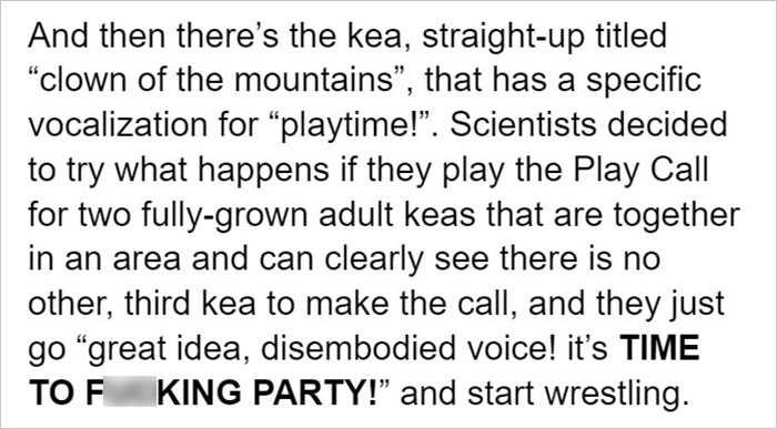 Netizens Are Loving This Humorous Tumblr Post Dedicated To The Intellectual Contrast Between Crows And Keas