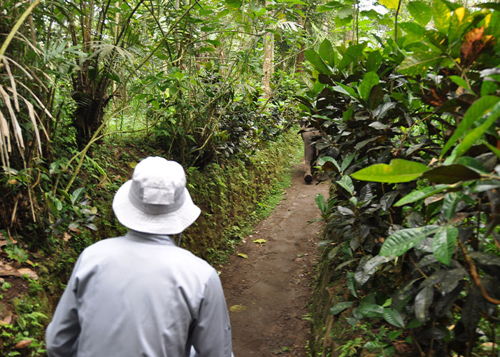 Indonesia Is Planning To Offer A Special Visa To Remote Workers, Allowing Them To Stay There For 5 Years Tax-Free, Including The Dream Destination, Bali